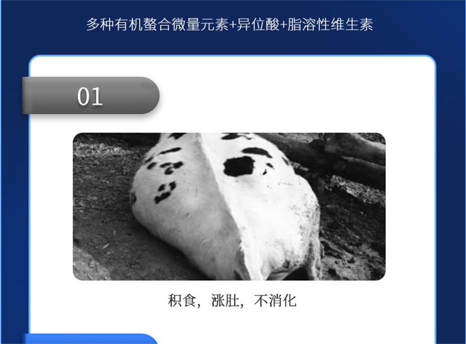 j9ʼŶţӼţ׳챦Ʒ