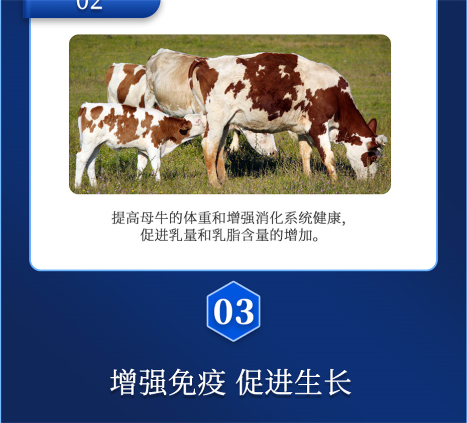 j9ʼŶţӼѪţƷ