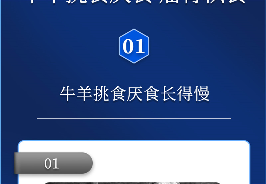 j9ʼŶţӼţ׳챦Ʒ