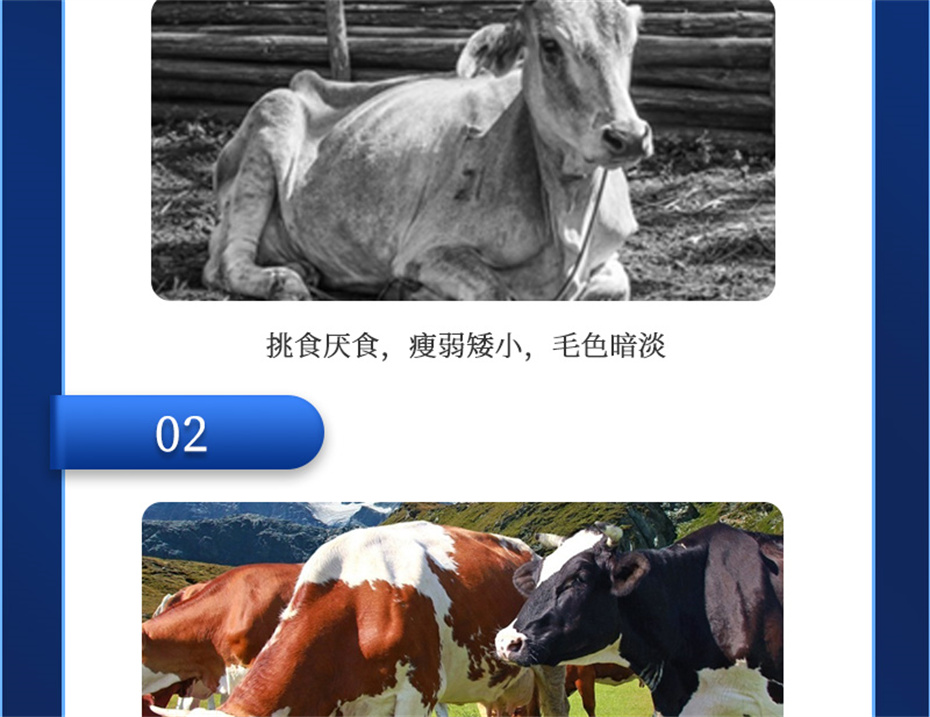 j9ʼŶţӼţ׳챦Ʒ