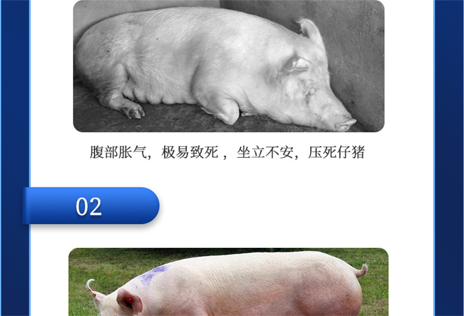 j9ʼŶӼĸͨƷ