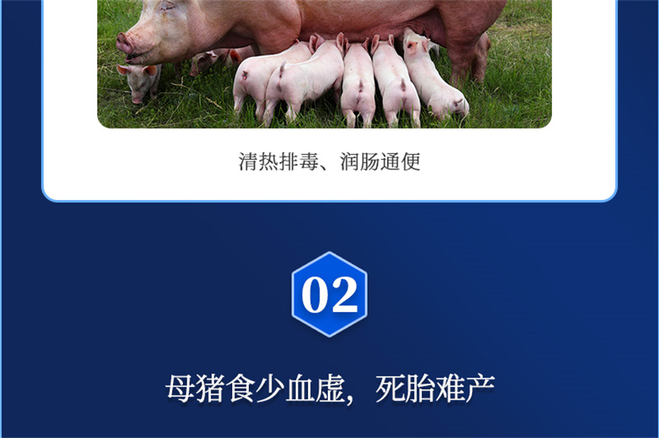 j9ʼŶӼĸͨƷ