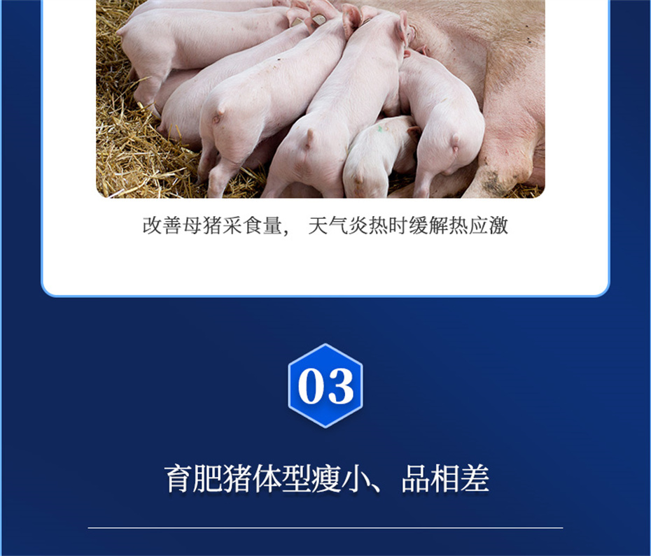 j9ʼŶӼĸͨƷ