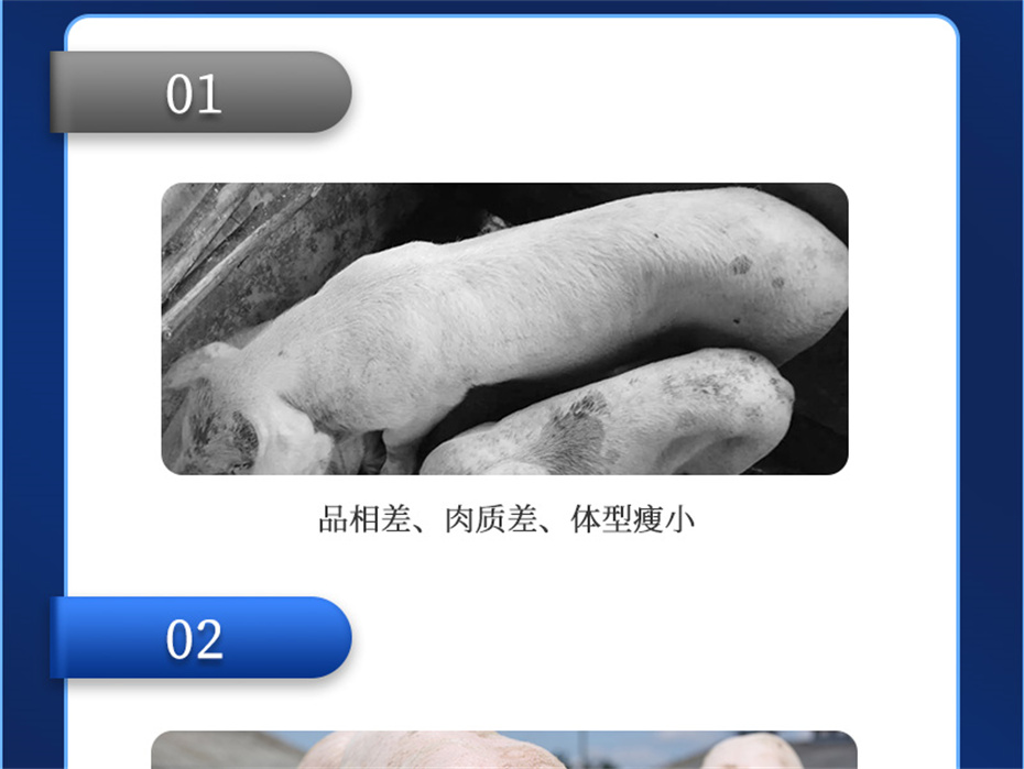 j9ʼŶӼĸͨƷ