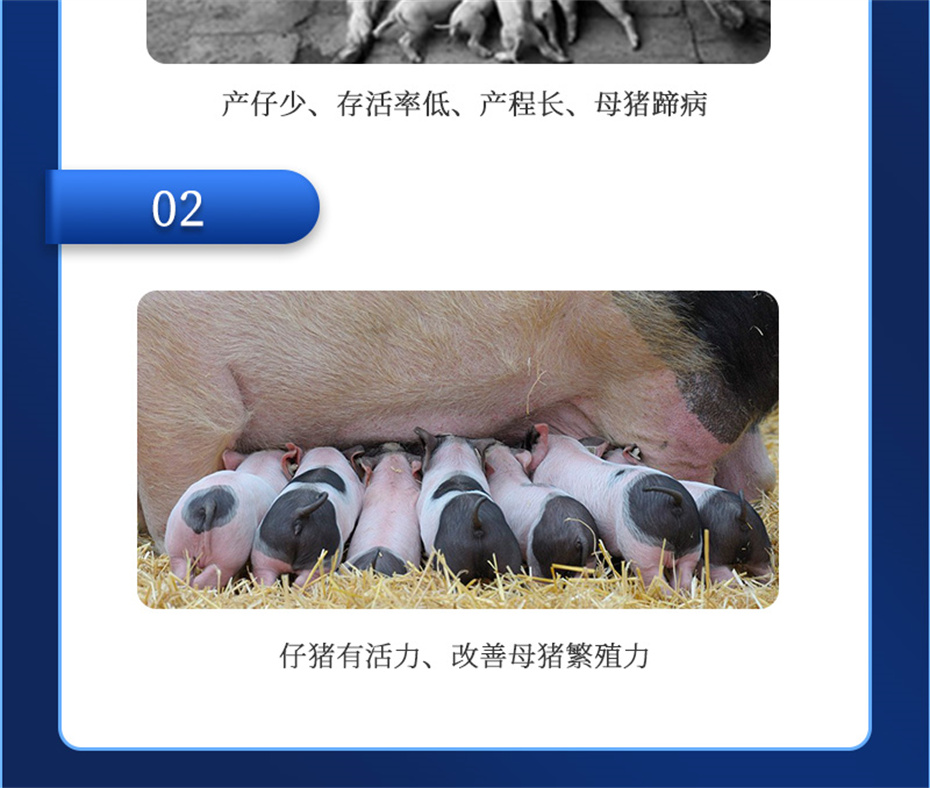 j9ʼŶӼֳƷ