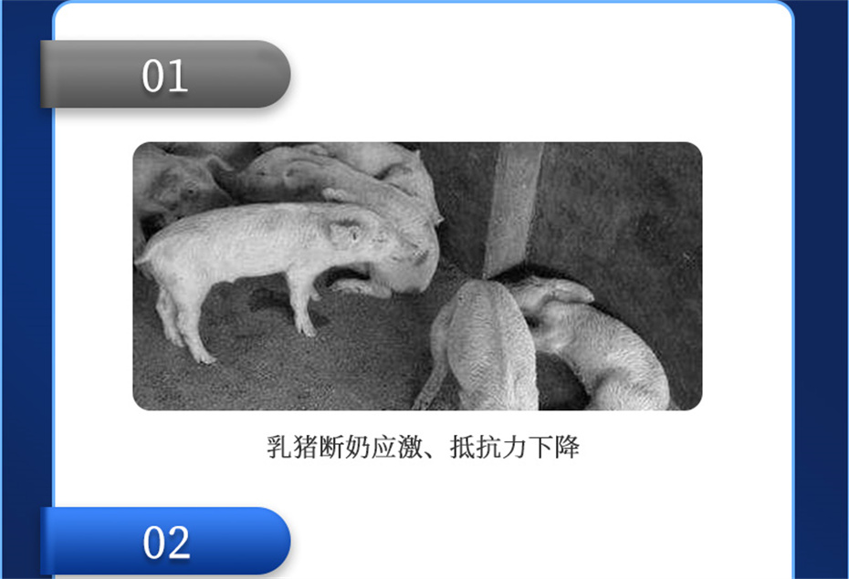 j9ʼŶӼƷ
