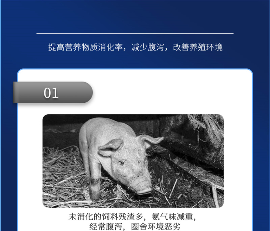 j9ʼŶӼƷ