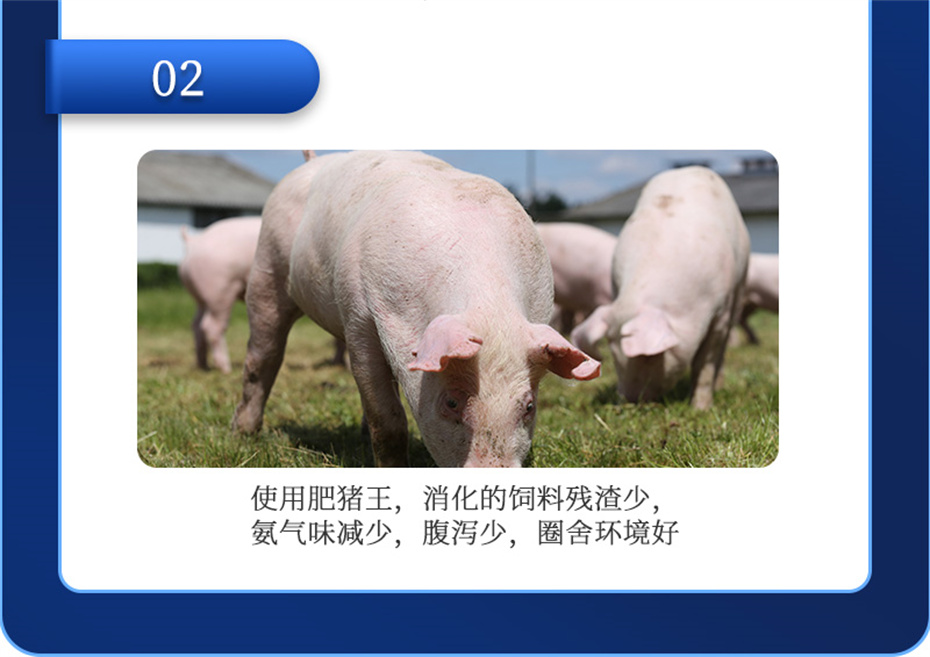 j9ʼŶӼƷ