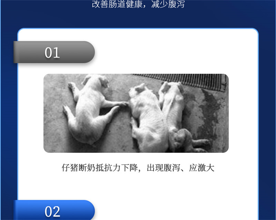 j9ʼŶӼƷ