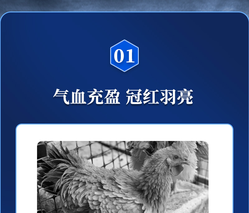 j9ʼŶӼɫƷ