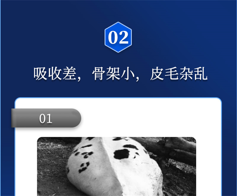 j9ʼŶţӼţԪ˧Ʒ