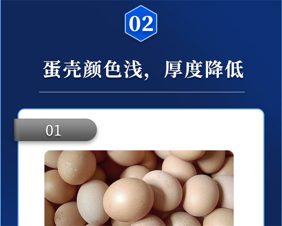 j9ʼŶӼǿǱƷ