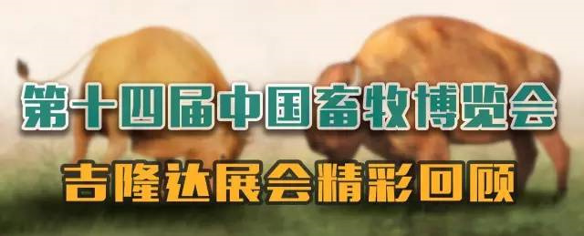 j9ʼŲչй