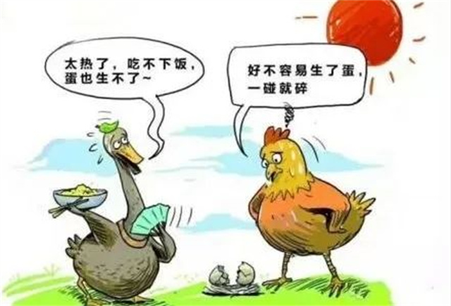 Ӧ