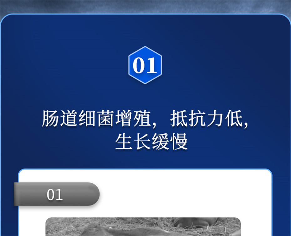 j9ʼŶӼŶĲƷ