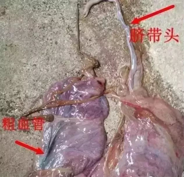 жĸǷ1ͷ